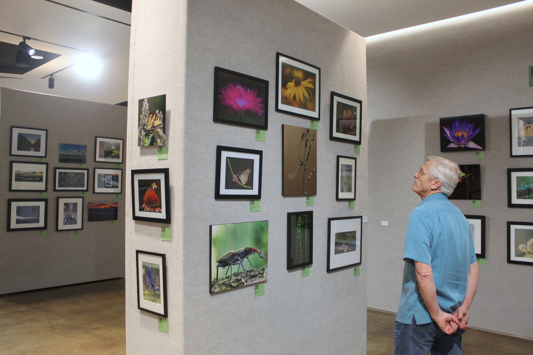 Arts Alpharetta Mike Buchanan